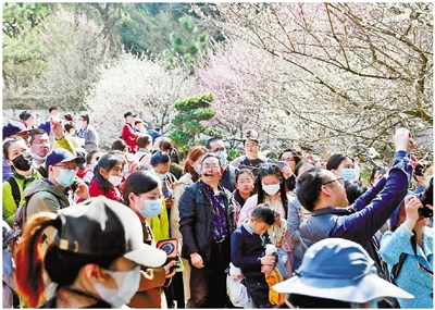 一位梅花匠人的“苦寒”岁月与诗意人生