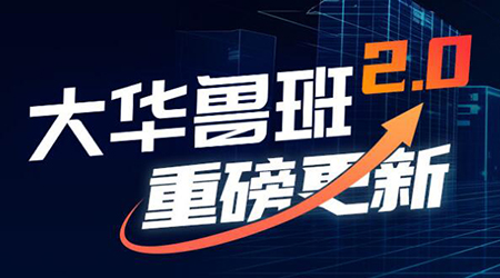 大华