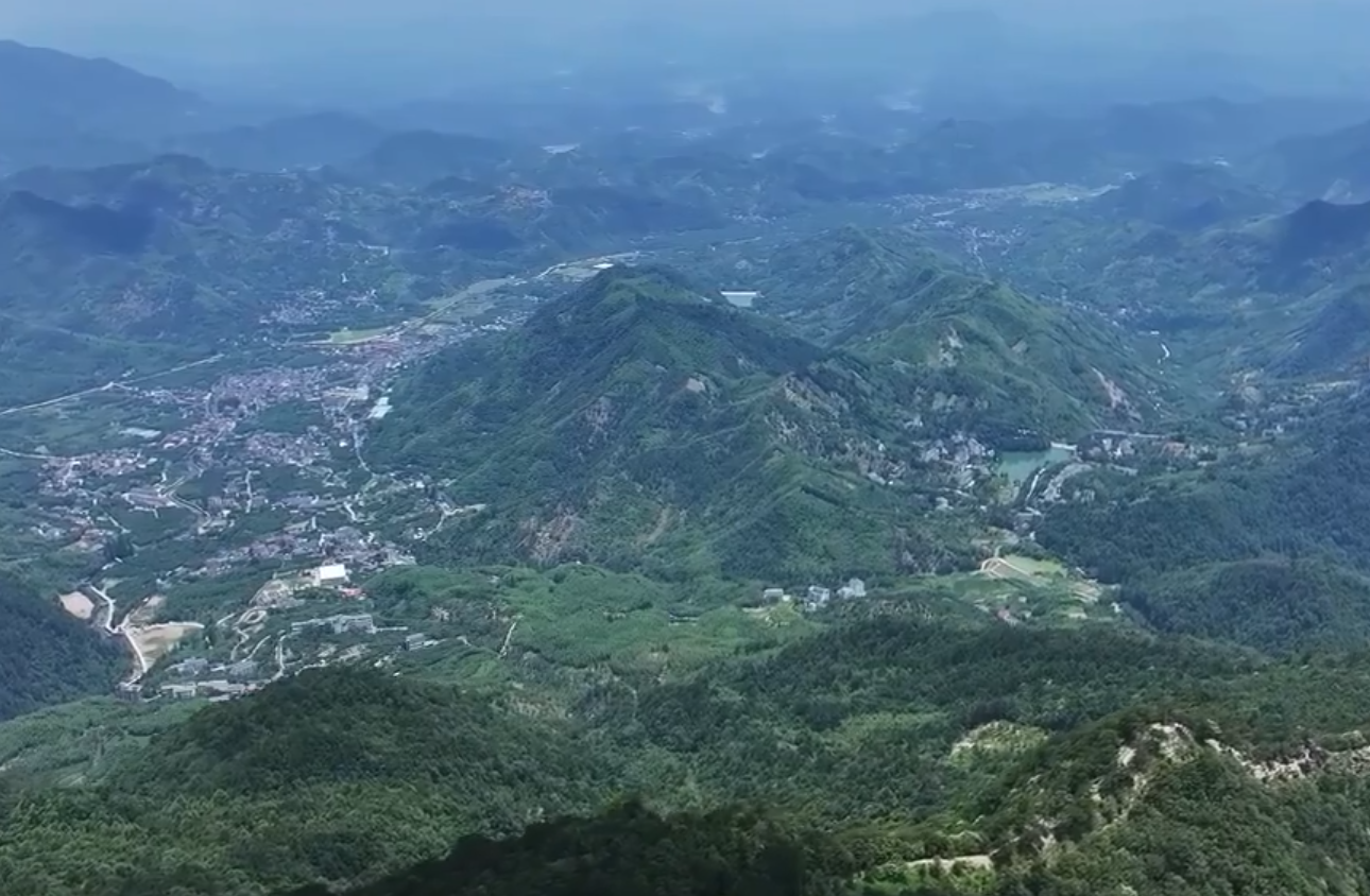 天目山：绿动心弦 夏日里的避暑胜地