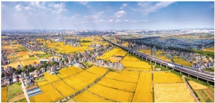 杭州市萧山：“跨界”党湾 共富“有解”