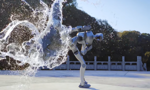 杭州“五兄弟”，2026计划大曝光